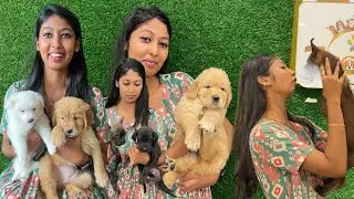 Surprise for Mona🥰 cute puppies for lowest price zoom pets l mama with babyma