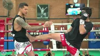 Push kick (teep)