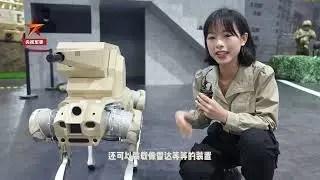China's independently developed 