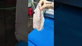 Squirrel Fish Cutting Machine