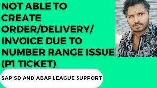 SAP SD SUPPORT Project Realtime Tickets/P1 &mdash; проблема с диапазоном номеров (невозможно создать заказ)