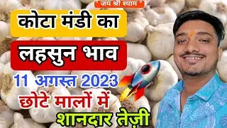 Today Fresh Raw Garlic Rate |Kota Mandi Ka Aaj Ka Lahsun Bhav | Today Garlic Wholesale Market Rate