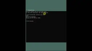 Find Your Storage Disks Model through CMD 