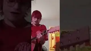 Wingnut Dishwashers Union - Fuck Shit Up( Cover) #folkpunk #acousticcover #music #guitarcover