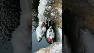 💥 new viral tek tok . shots and instagram reels viral shots vide shots(2)
