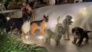 🎄 Ein kleines Dankeschön von Herzen 🐾