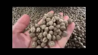 Equipment and process flow of puffed quinoa flour production line