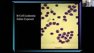 Using Functional Profiling to Predict Drug Response, with Dr. Robert Nagourney