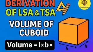 Derivation of LSA || TSA || Volume || of a Cuboid.