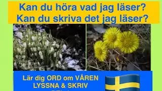 Våren del 1, Sfi