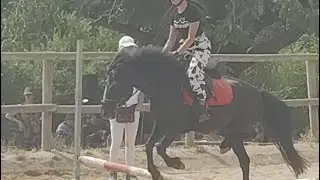 festival 2025!🐴
