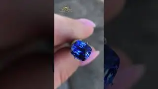 Blue Brilliance: A Sri Lankan Treasure