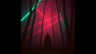Männlein im Wald   Techno im Nebel