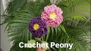 Crochet Peony Flower 🌸 | Easy & Beautiful DIY Crochet Flower Pattern Tutorial