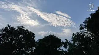 Beautiful winter morning at Silver Brook Estate Coorg