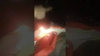 грызуны стачивают резцы и измельчают провода и замыкают их и пожароопасны они