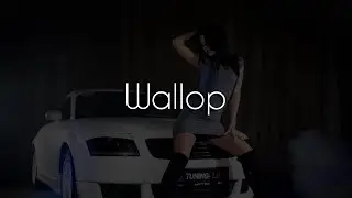 Ahmet Dolaz & Yal&ccedil;ın Erdilek - Wallop