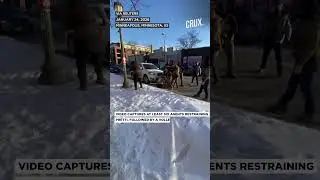 US Nurse Shot Dead In ICE Raid, Minneapolis Gov. Walz Urges Halt As Trump Backs Agents | Alex Pretti