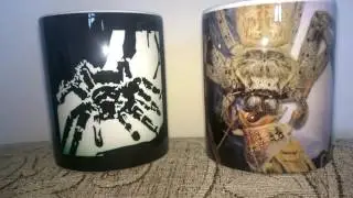 TarantulaDan Mugs Giveaway