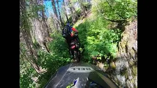 lower mad river trail