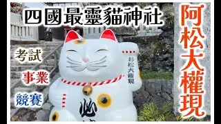 走進阿松大權現｜可愛貓咪 × 正義傳說｜德島秘境｜お松大権現