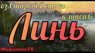 Русская Рыбалка 4 оз Старый Острог Линь 20 06 23