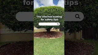 The internet looking for safety tips