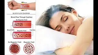 ParaShi Bio-Energy Magnetic Mattress । Say Goodbye to Body Pain, BP, Heart Stroke & Diabatics