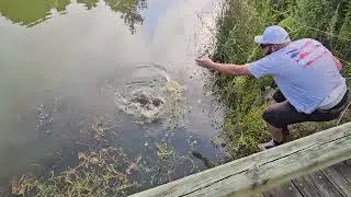 Baycreek Bass