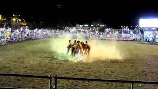 crazy portugese guys take bull by the horns