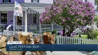 Mackinac Island Lilac Festival is back!