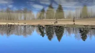 Traversée de l’Akfadou - Lac Noir - Randonneurs Béjaia