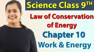 Law of Conservation of Energy - Chapter 10 - Work & Energy - Science Class 9th NCERT