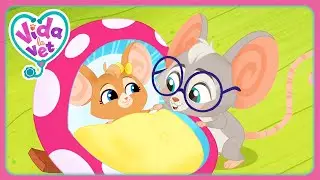 Sunny Y El Ratón Bebé Se Van A La Cama (Recopilación) | Dibujos Animados Para Niños