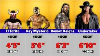 WWE Wrestlers Height Comparison 2025 | Shortest vs Tallest Superstars