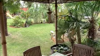 La Palmeraie virtual garden visit 2020