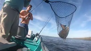 Over Slot Redfish off North Florida Inshore Fishing