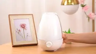 Scenta New Launching Humidifier A808 with LED Light of Touch Control