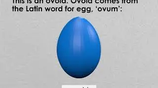 Geometry Solids Intro to Ovoid