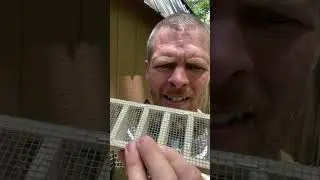 Queen Cell Emergence Cage Bar!!#thehivedoctor #queencells #cellbuilder