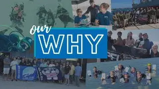 Scuba Diving International - Our Why