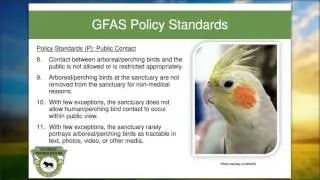 Delivering the Right Message: Avian Education & Outreach