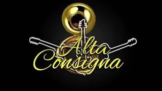 El quesito alta consigna