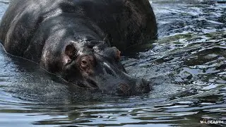 LIVE at the waterhole - 09 January 2026