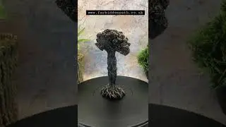 🌕 Unveiling the Enchanting Triple Goddess Pentagram & Tree of Life! 🌿Pagan & Wicca Altar !😳