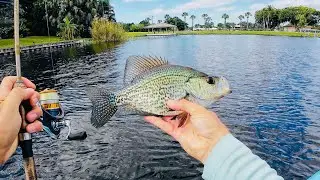 Kayak Fishing Florida Canals for GIANT Bluegill and Peacock Bass | Lake Ida