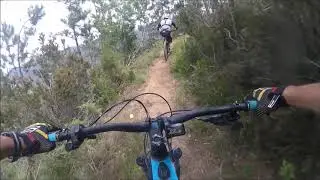 bandito conca verde