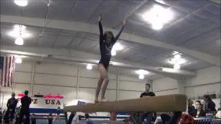 ambers gymnastics