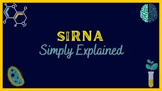 What is siRNA | Simply Explained