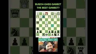 THE BUSCH GASS GAMBIT | THE BEST GAMBIT?